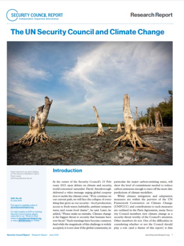 The UN Security Council and climate change | PreventionWeb